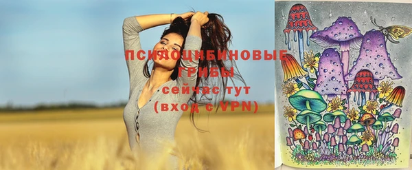 прущий лед Алексеевка