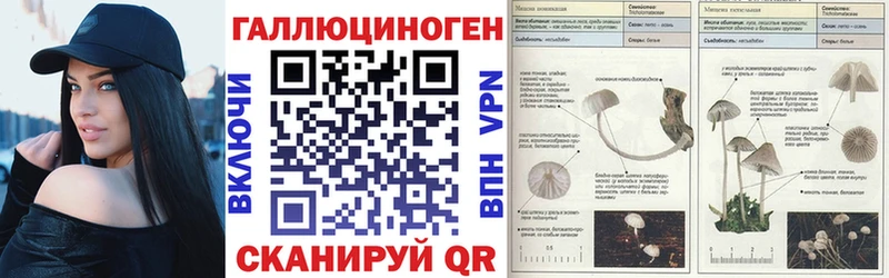 Псилоцибиновые грибы прущие грибы  Карабулак 