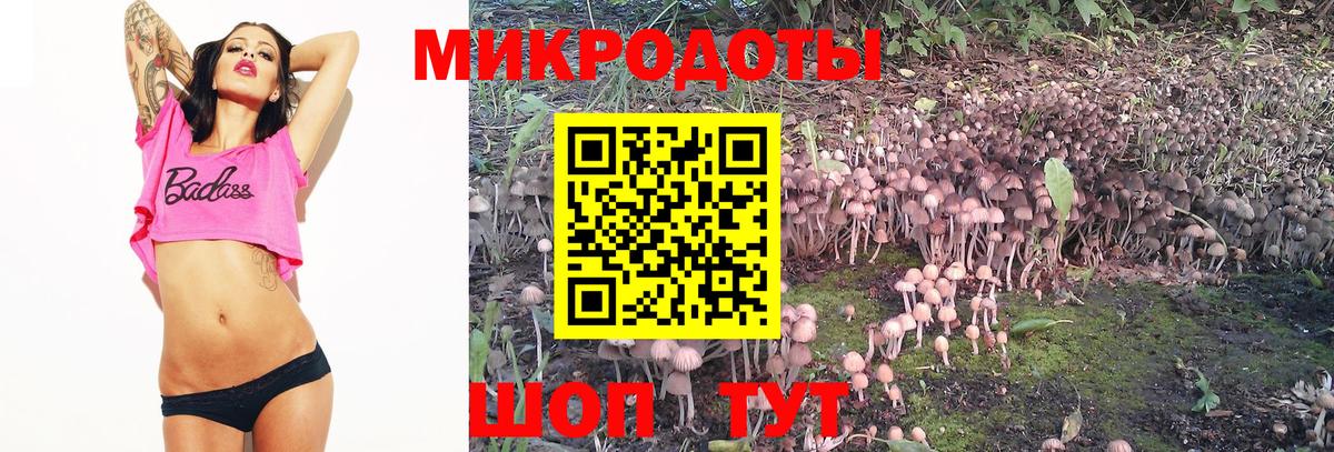 Галлюциногенные грибы GOLDEN TEACHER Карабулак