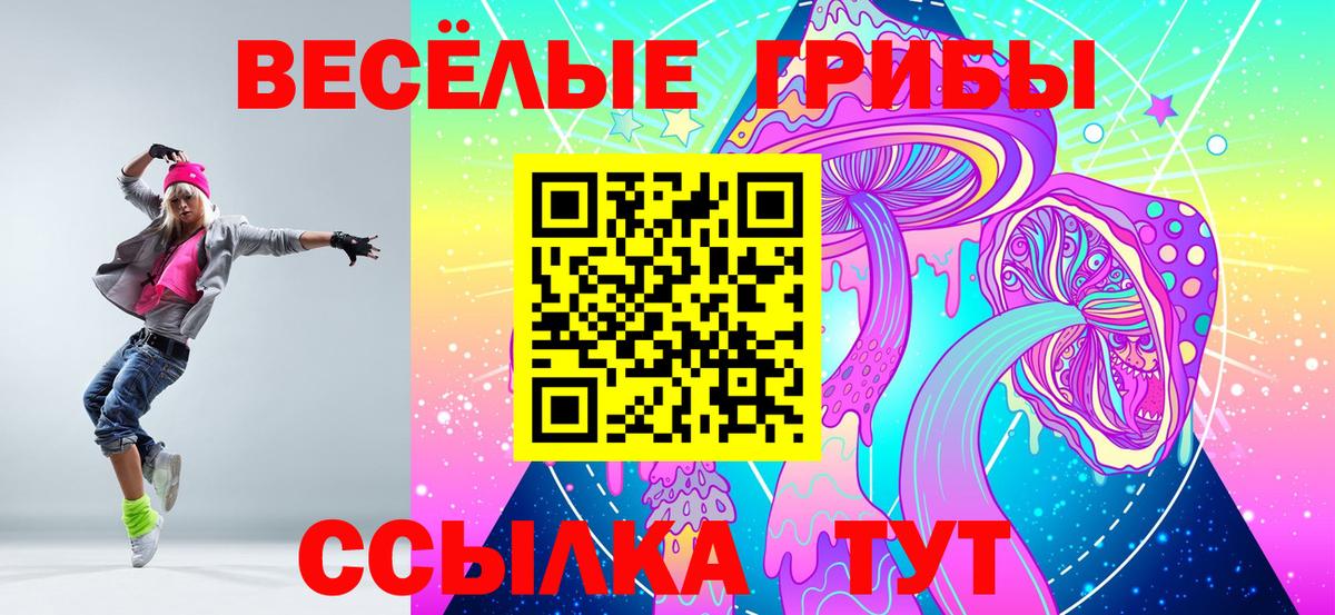 Карабулак  Псилоцибиновые грибы Psilocybe  Вход с VPN  Псилоцибиновые грибы прущие грибы 